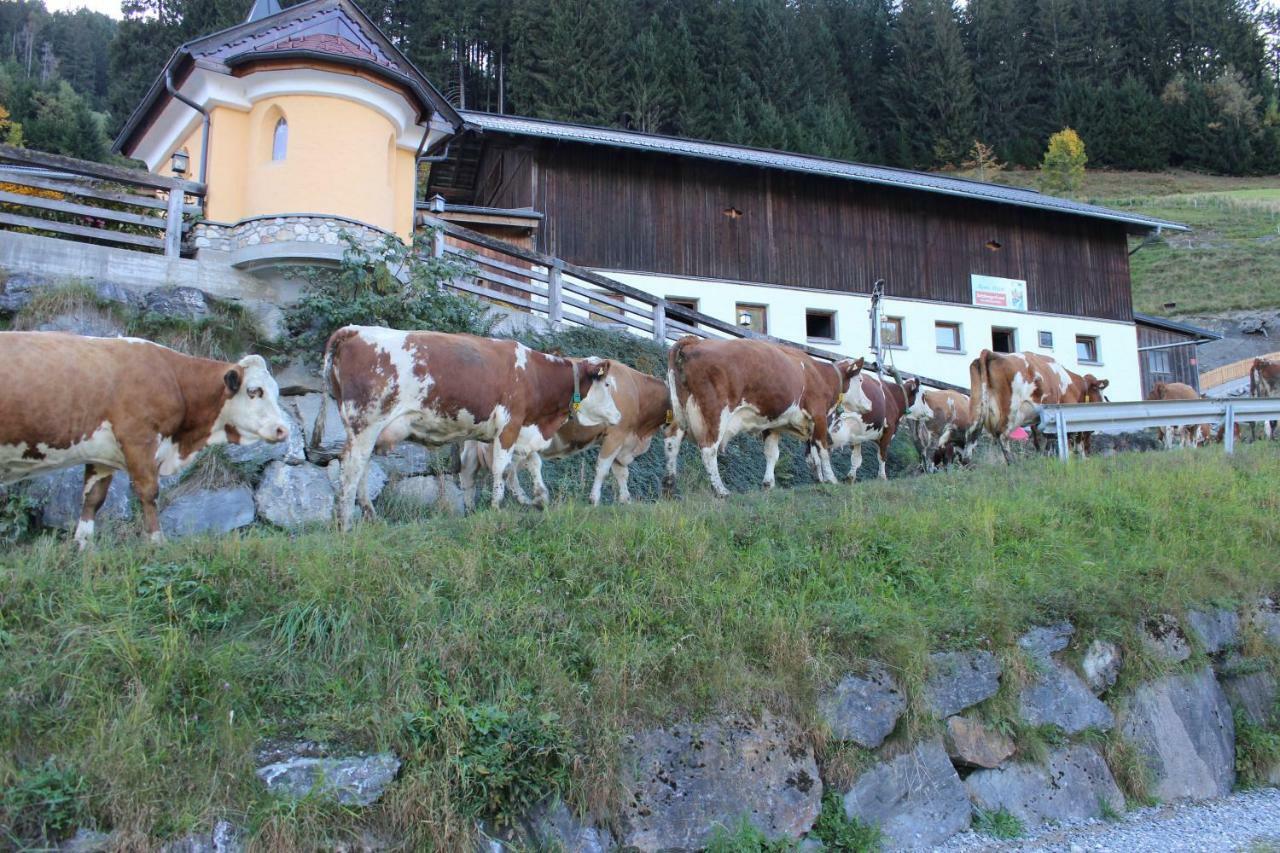 Appartmenthof Aigengut Ferienwohnung Grossarl Exterior foto